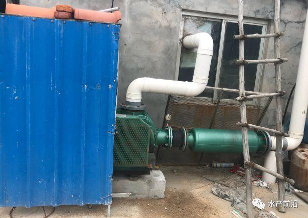 出蝦27斤/立方，連續(xù)三造成功后，工廠化養(yǎng)蝦在他看來并不難！