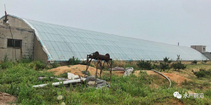 出蝦27斤/立方，連續(xù)三造成功后，工廠化養(yǎng)蝦在他看來并不難！